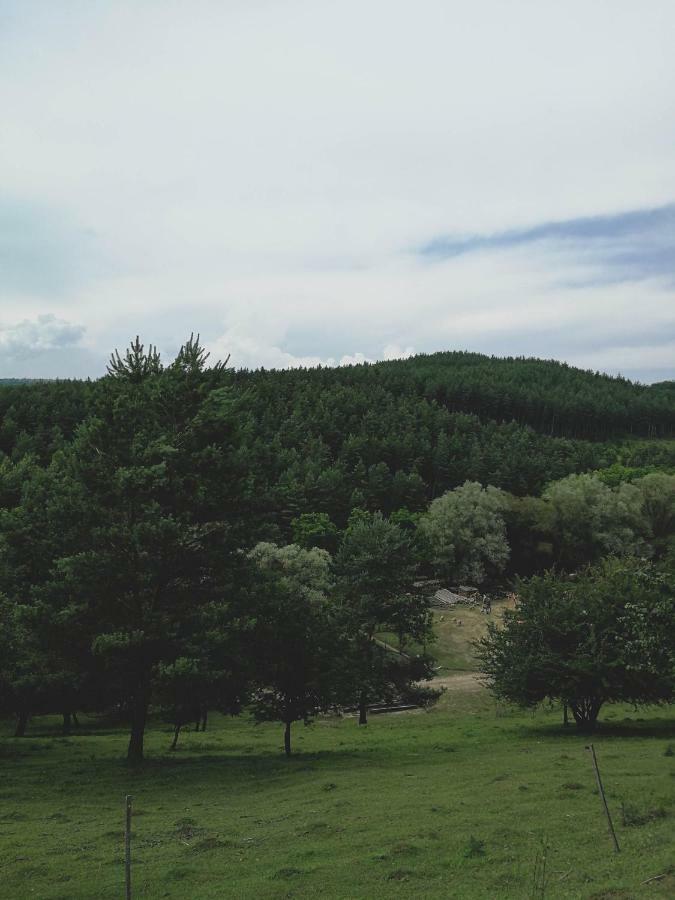 SirokVackorkertアパートメント エクステリア 写真